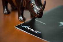 Rhino 7 Franchise Brands