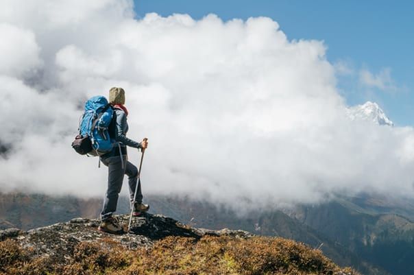 FBA Brokers vs. Franchise Consultants