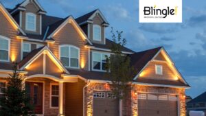 Blingle! Premier Lighting Franchise