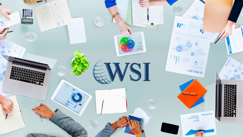 WSI Franchise