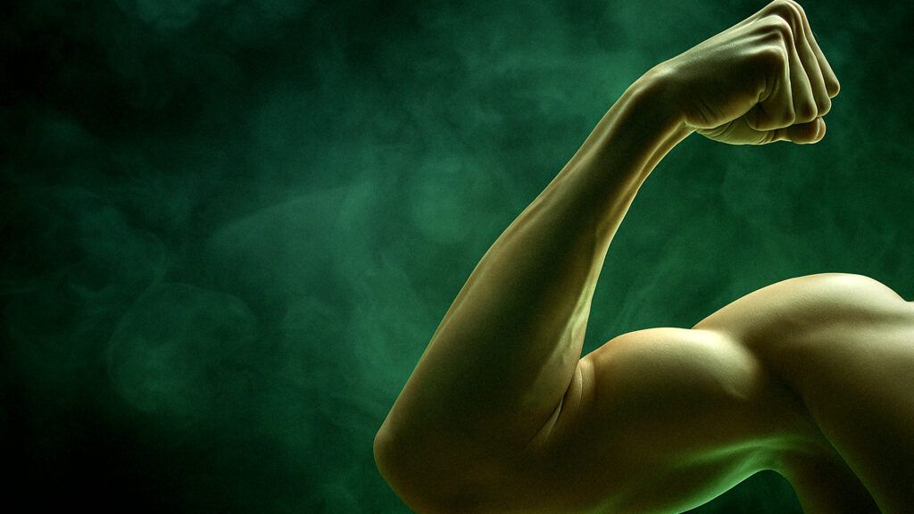 D1 Training Franchise