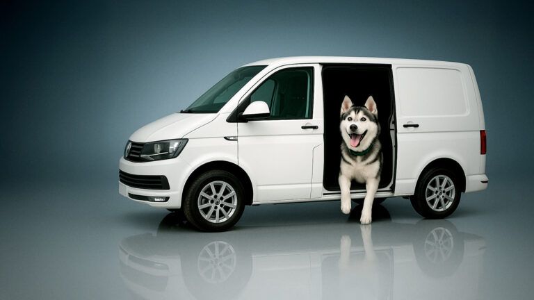 Furry Land Franchise