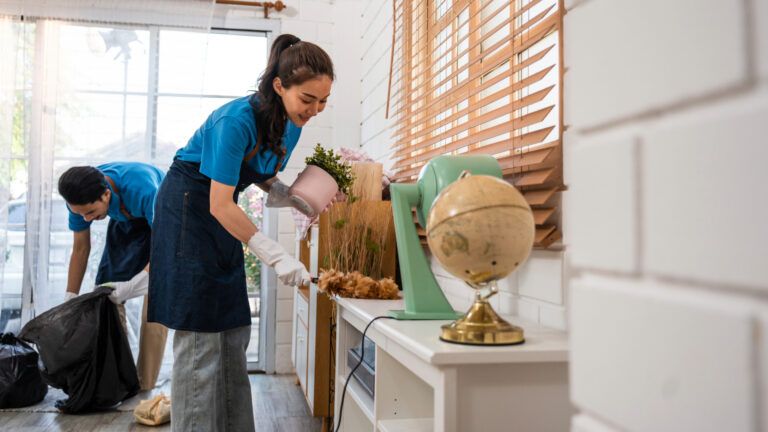 Molly Maid Franchise