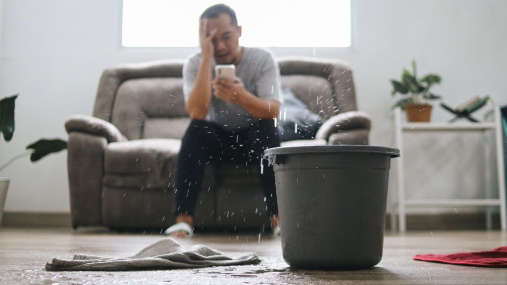 1-800 WATER DAMAGE Franchise