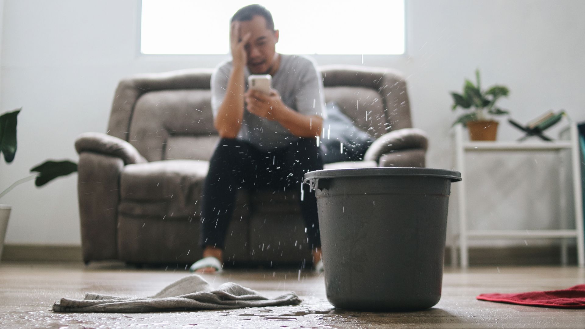 1-800 WATER DAMAGE Franchise