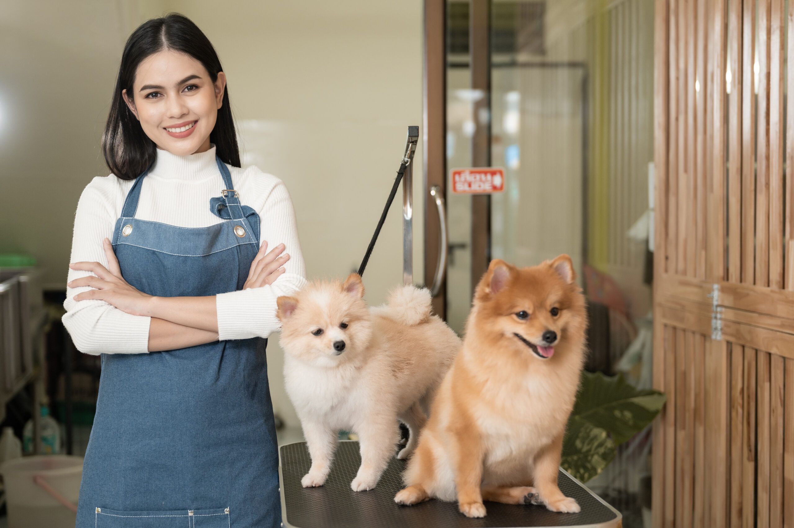 Pet Care & Grooming Franchise