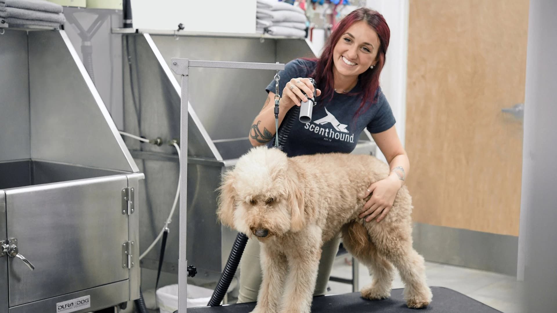 Scenthound Franchise Cost